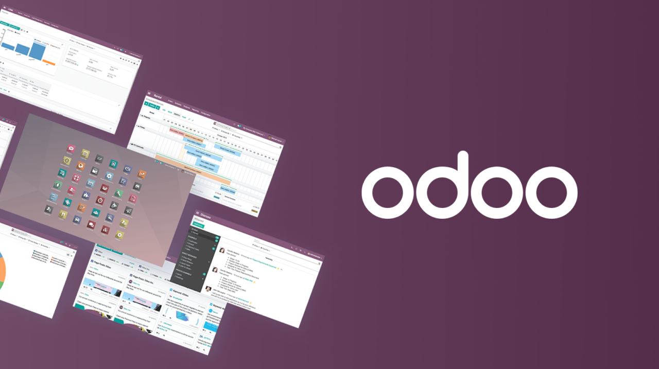 Odoo integration job coach